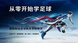 哈兰德成为世界杯最受欢迎球员的原因分析